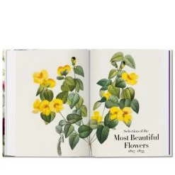 Taschen Redouté - The Book Of Flowers 40th Ed. -Fashion clothing Screenshot2023 07 03at12.46.42PM