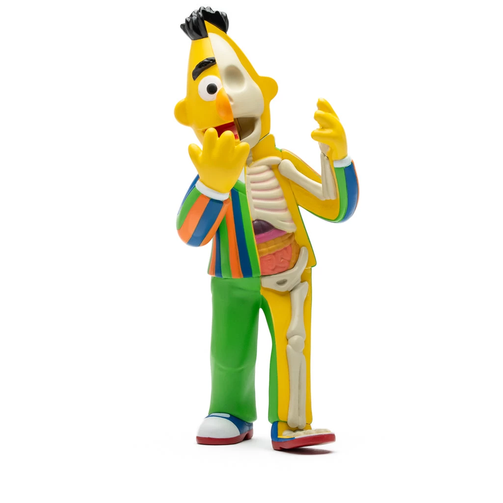 Mighty Jaxx XXRay Plus Sesame Street - Bert 3 Mighty Jaxx XXRay Plus Sesame Street - Bert