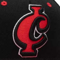 Ice Cream Make Sense Snapback Hat - Black -Fashion clothing Sneaker Politics IceCream MakeSenseSnap 131 111782 WB 6