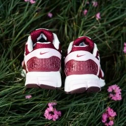 Women's Nike Zoom Vomero 5 - Pink Foam/Team Red 19 Women's Nike Zoom Vomero 5 - Pink Foam/Team Red -Fashion clothing Women sNikeVomero5PinkFoamredSailFN7196 663SneakerPOliticsIG 10